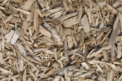 biomass boilers Llantrithyd